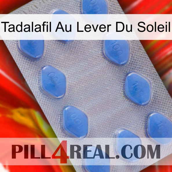 Sunrise Tadalafil 21
